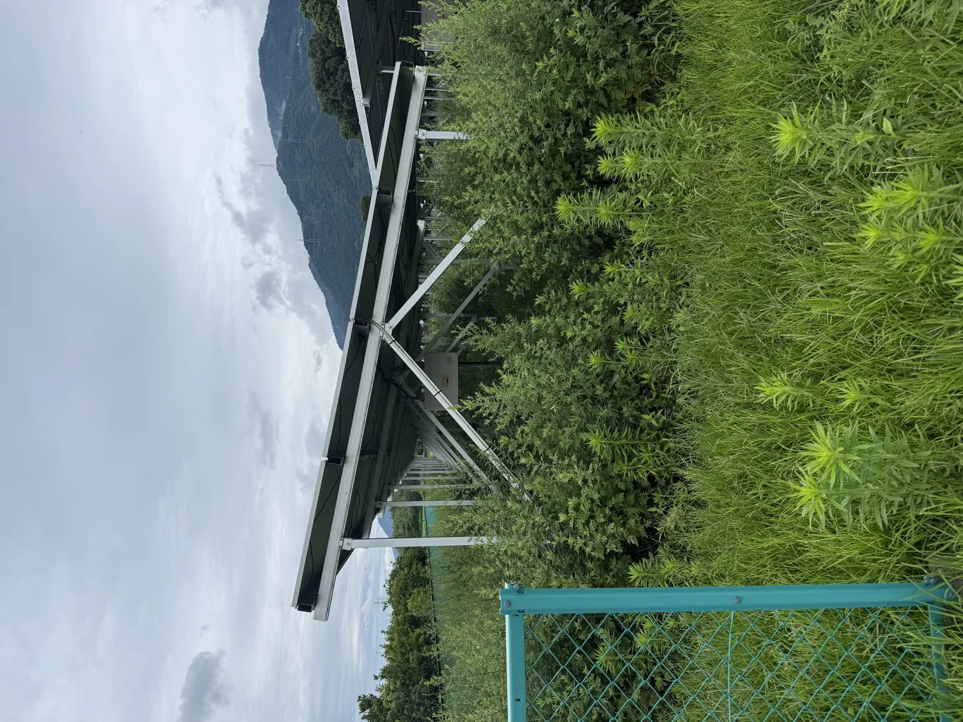 立て直し前